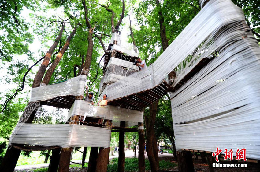 Einzigartige Baumhäuser in Wuhan