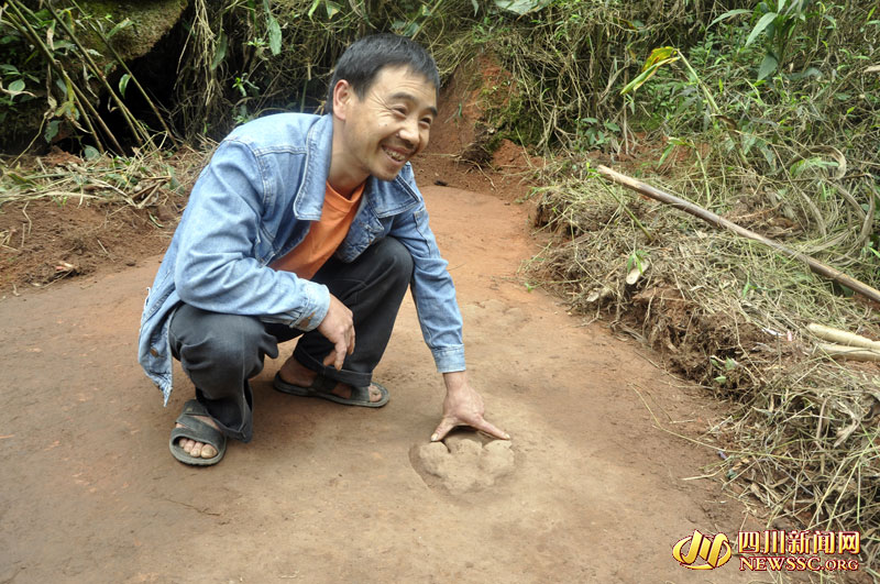 Dinosaurier-Spuren in Sichuan