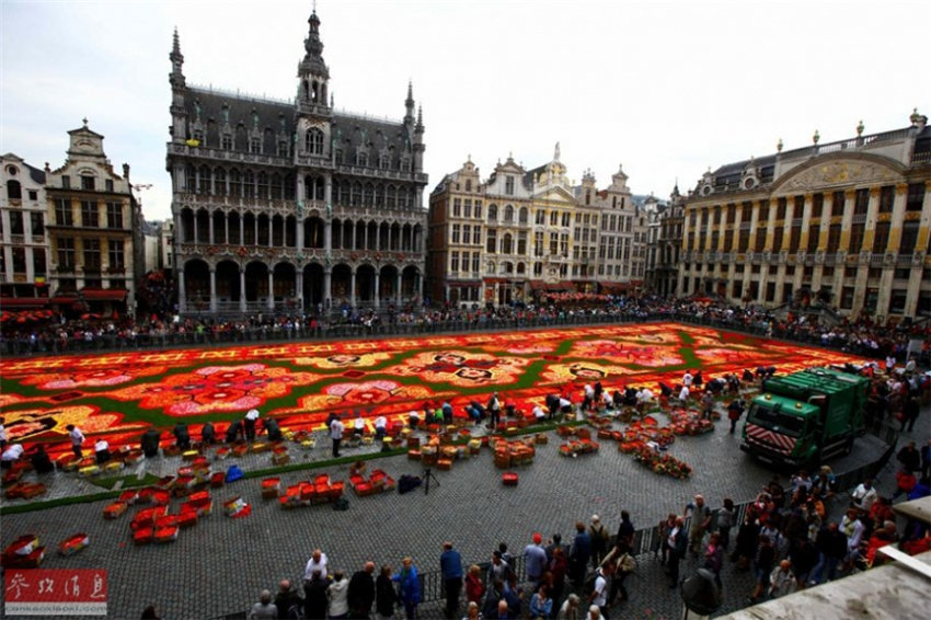 Riesiger Blumenteppich in Brüssel