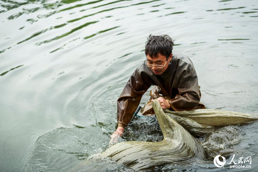 In der einen Hand einen großen Beutel, in der anderen ein Netz und zum Schutz vor dem Wasser einen Überzug aus Gummi. So sehen die „Wurmfischer“ aus, die entlang der Flussufer in Beijings Vororten auf Würmerjagd gehen. Der 45-jährige Dong ist einer von ihnen.