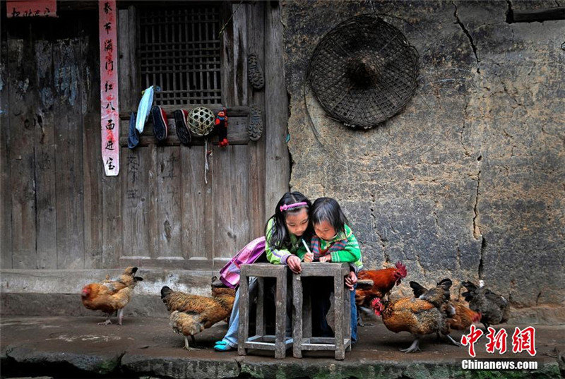 „Foto – Traum“ erfreut Chengdu