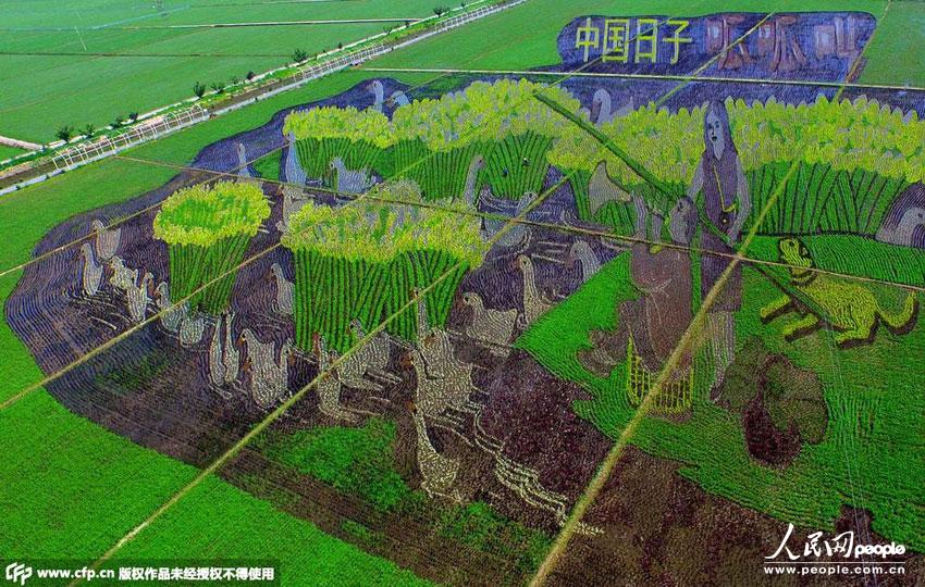 Die „3D-Reisfelder“ des Volkes Xibo in Shenyang