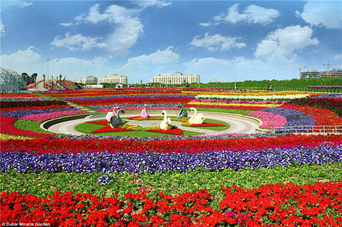 Weltweit größte Blumenausstellung in Dubai