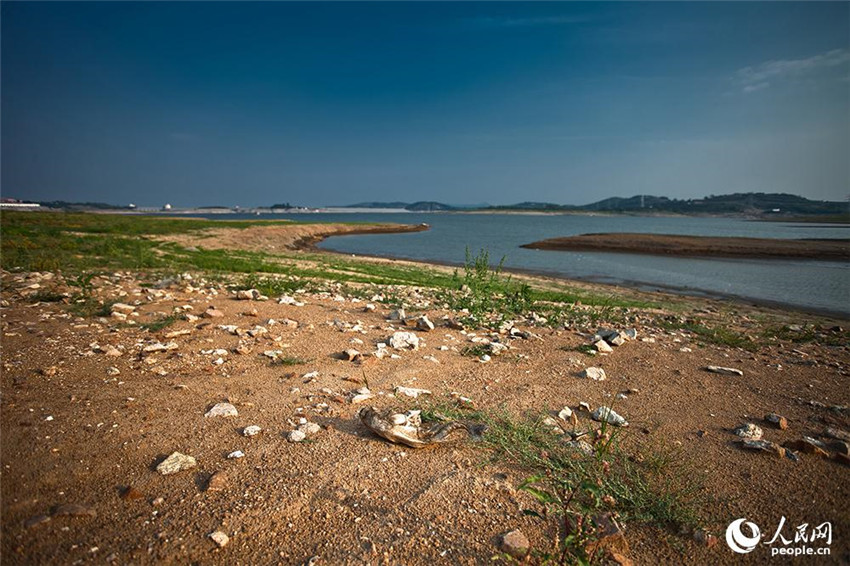 Küstenstadt der Provinz Shandong leidet unter extremer Dürre