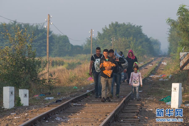 Ungarn baut Grenzzaun gegen Flüchtlinge