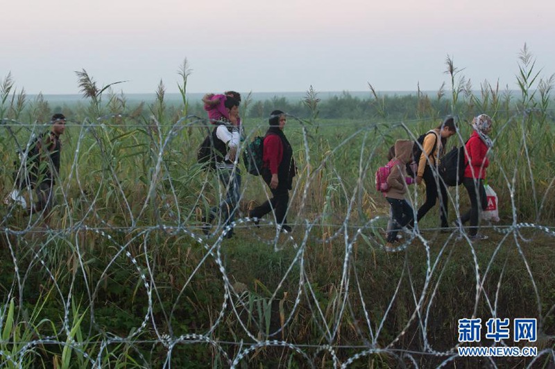 Ungarn baut Grenzzaun gegen Flüchtlinge