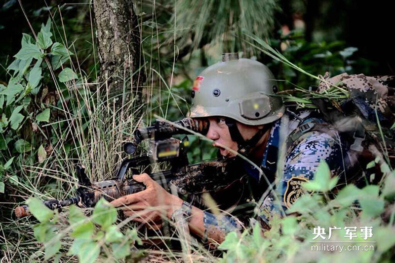 Chinas Marineinfanterie probt den Dschungelkampf