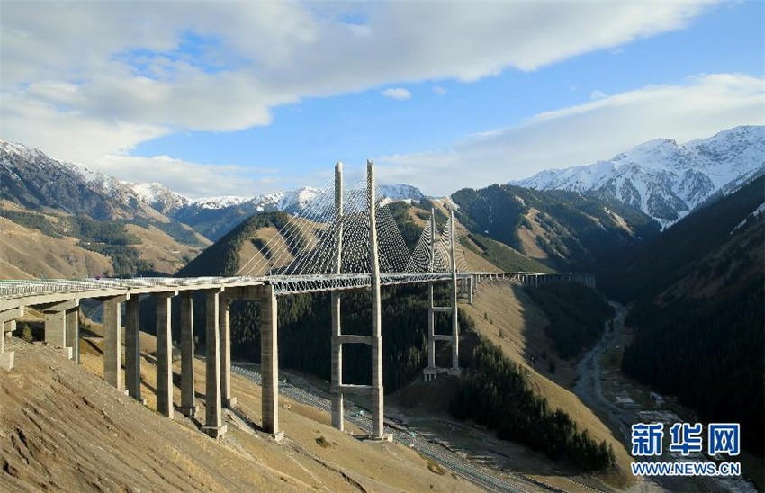 Huocheng: Die Lavendelhochburg von China