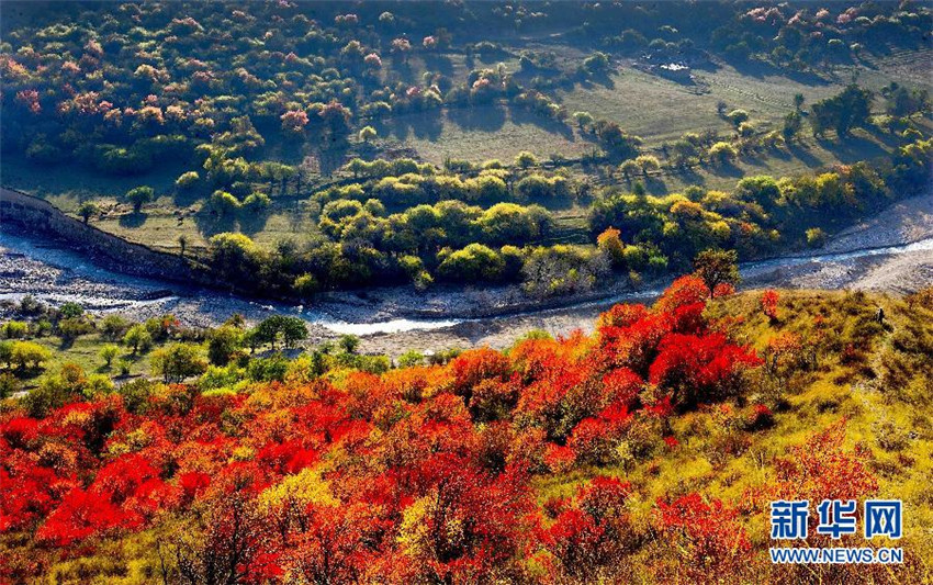 Huocheng: Die Lavendelhochburg von China