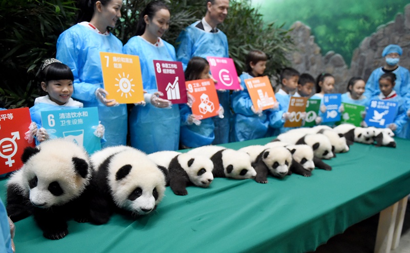 Panda-Kindergarten eröffnet
