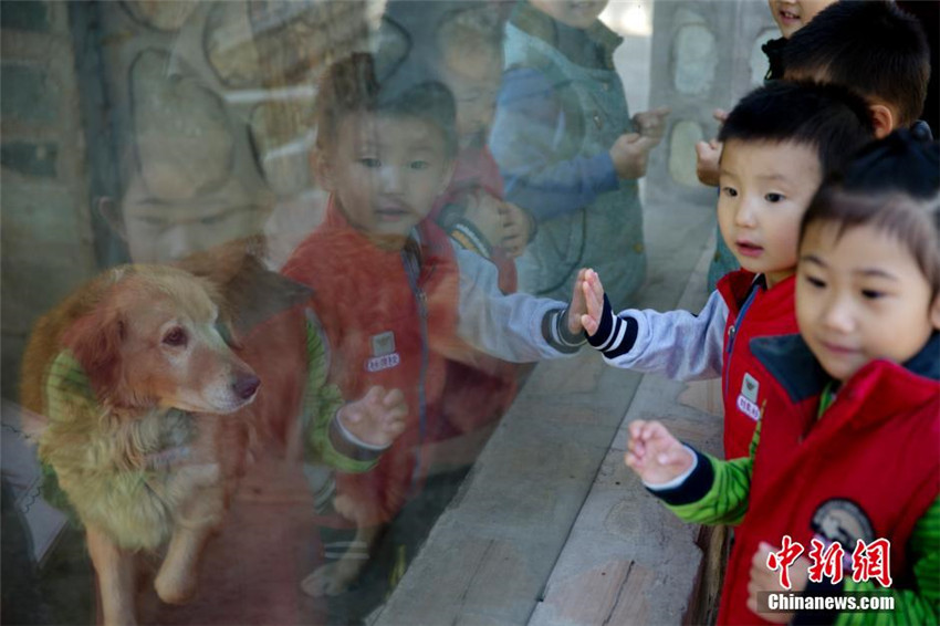 Zoo im Kindergarten