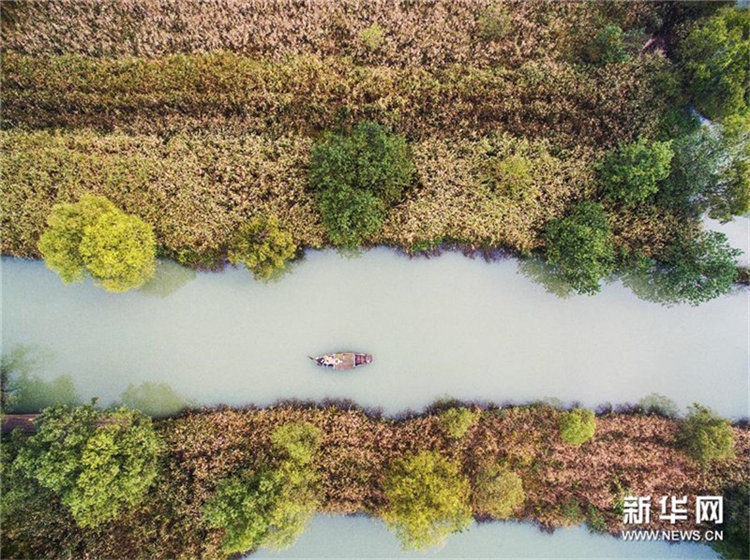 Der Xixi-Feuchtgebiet-Park im bunten Herbstgewand