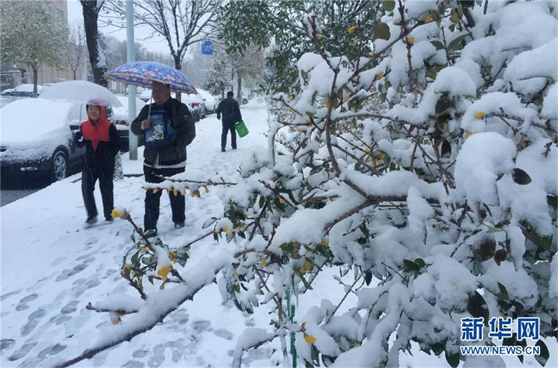 Erster Schnee 2015 in Beijing