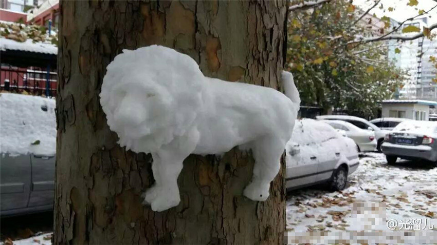 Tierische Schneeschnitzerei in Beijing