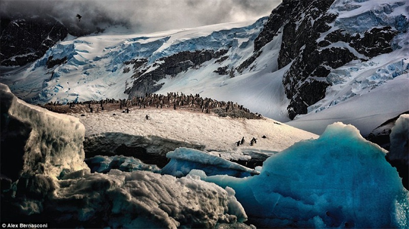 Eiskalte Naturschönheiten