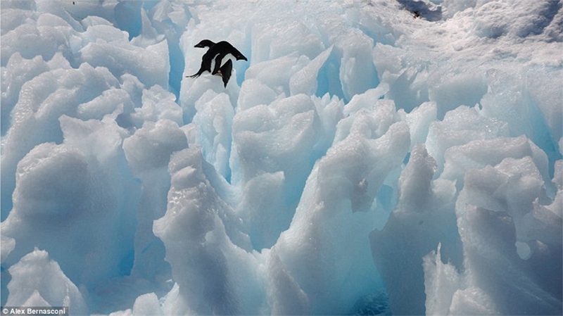 Eiskalte Naturschönheiten