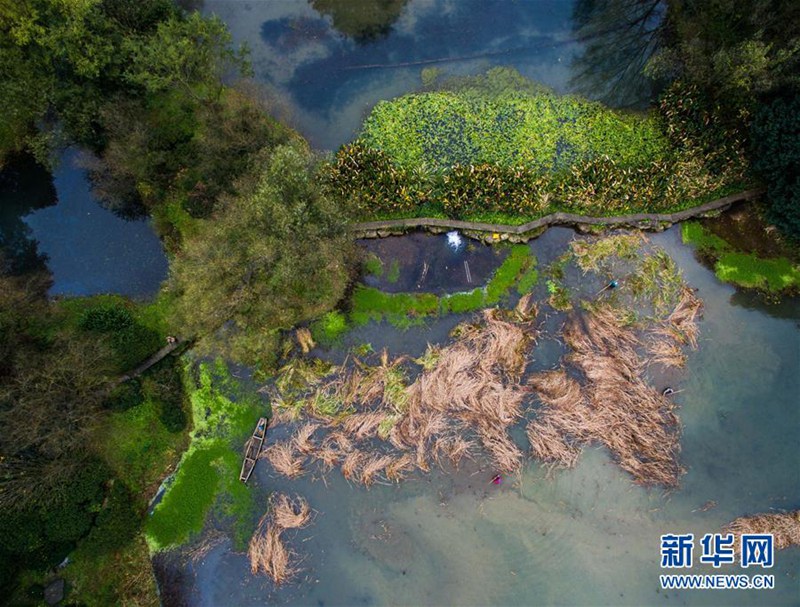 Farbiger Spätherbst in Hangzhou 