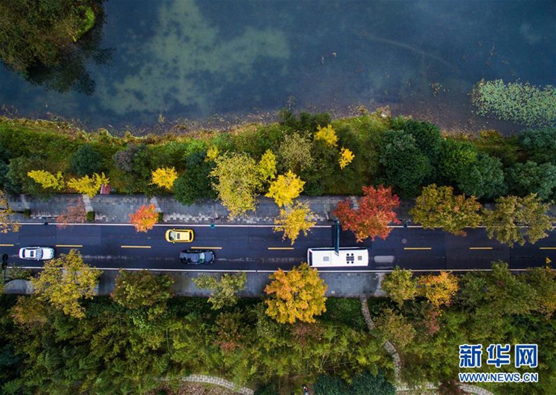 Farbiger Spätherbst in Hangzhou 