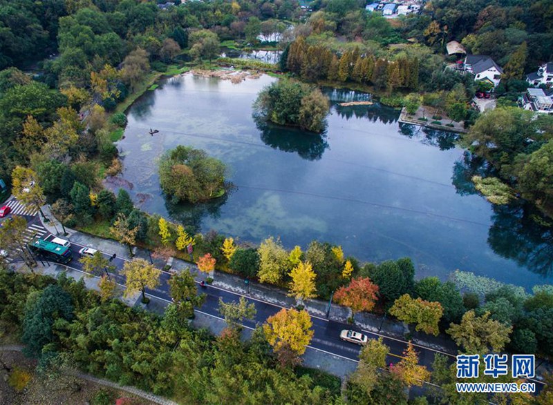 Farbiger Spätherbst in Hangzhou 