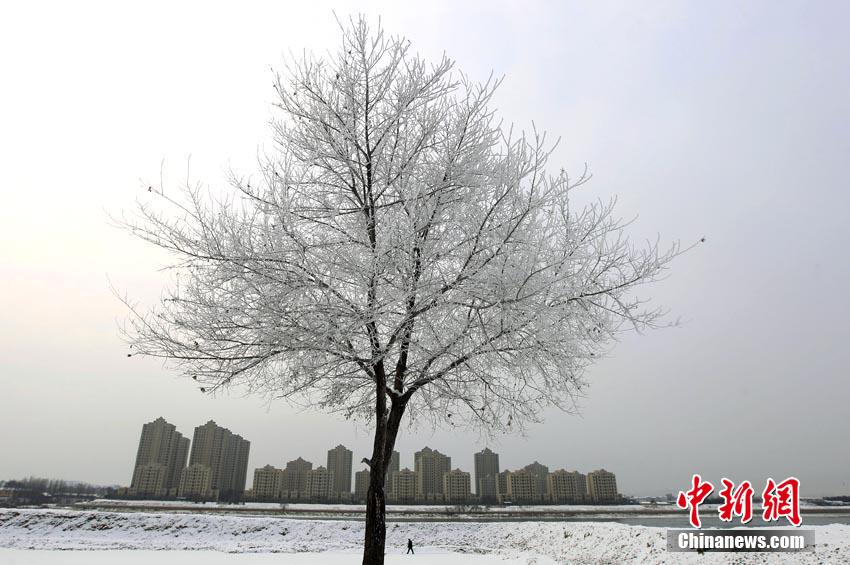 Frostiges Naturschauspiel in Jilin