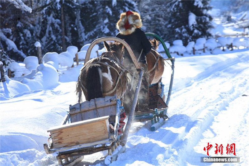 Schneeweißes Märchenland in Xinjiang