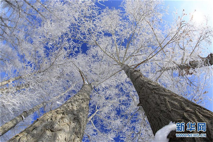 Frostiges Naturschauspiel in Xinjiang