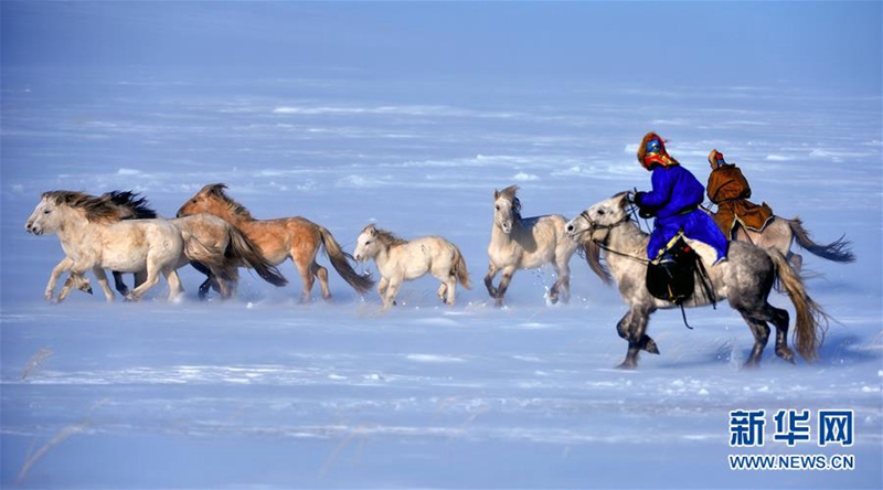 Pferderennen auf Schnee und Eis