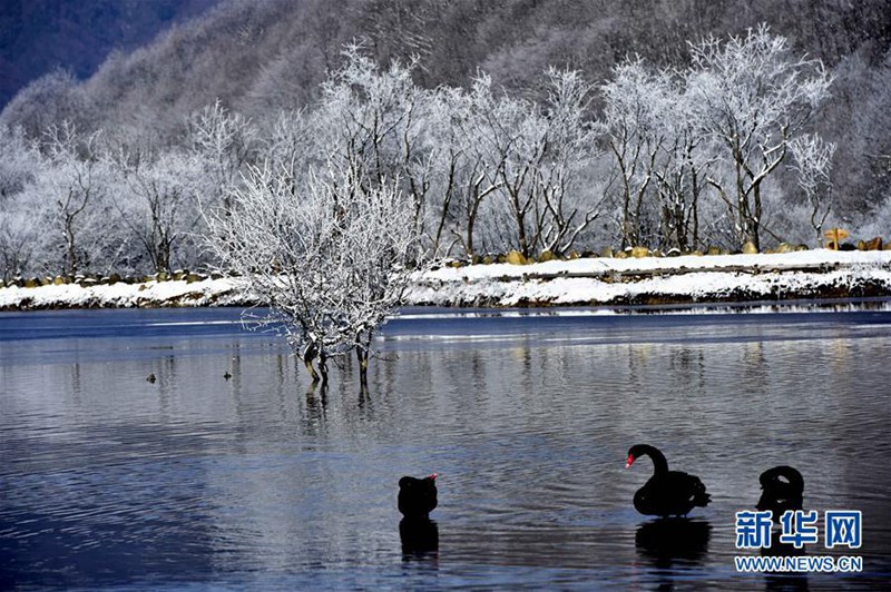 Der Dajiu-See-Park trägt Wintergewand