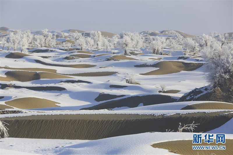 Frostiges Naturschauspiel an der „See des Todes“ 