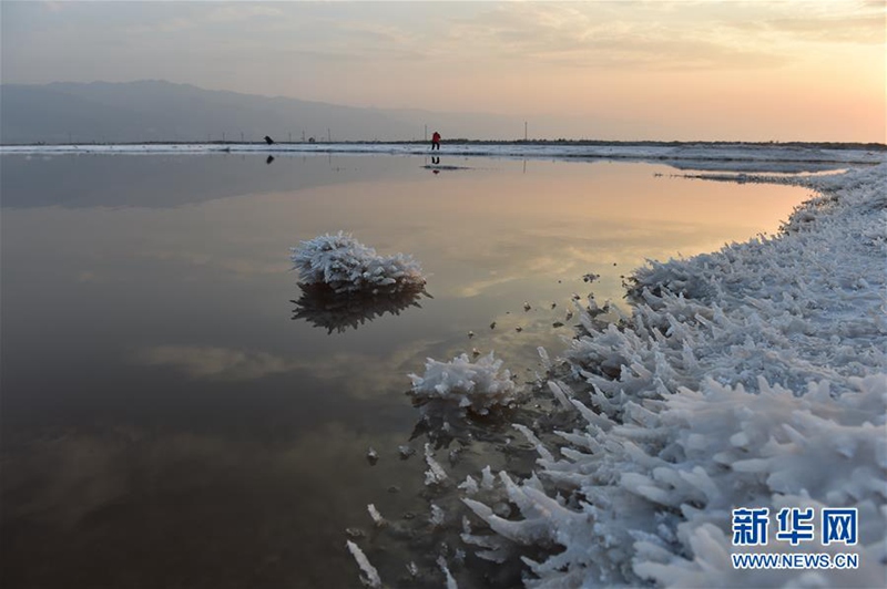 Mirabilit-Kristalle auf dem chinesischen „Toten Meer“