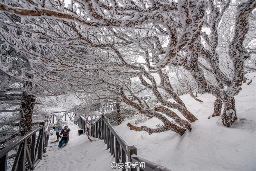 Schneewelt auf dem Cangshan-Berg