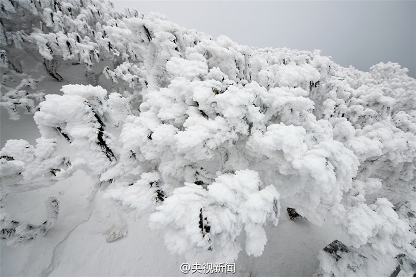 Schneewelt auf dem Cangshan-Berg