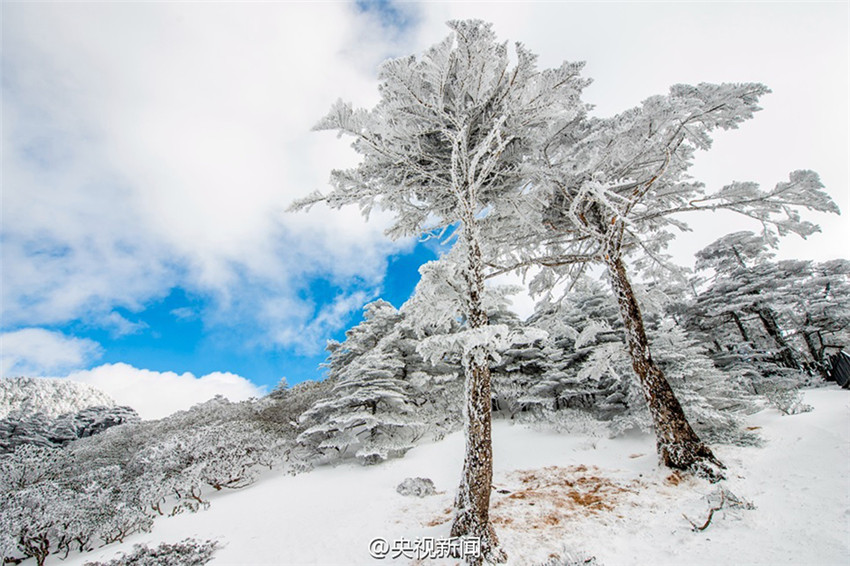 Schneewelt auf dem Cangshan-Berg