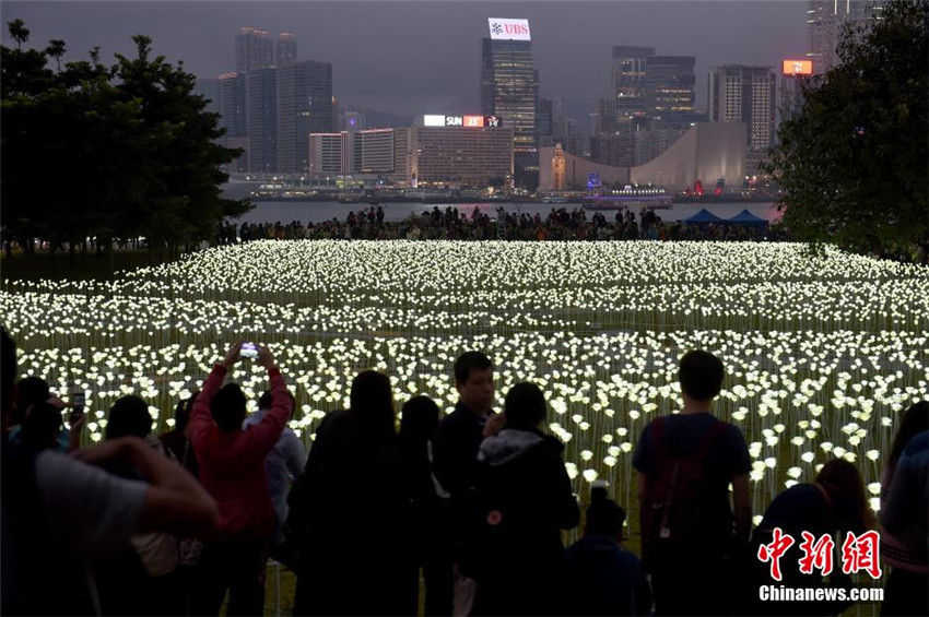 Hongkong: 25.000 roseförmige Lampen zum Valentinstag
