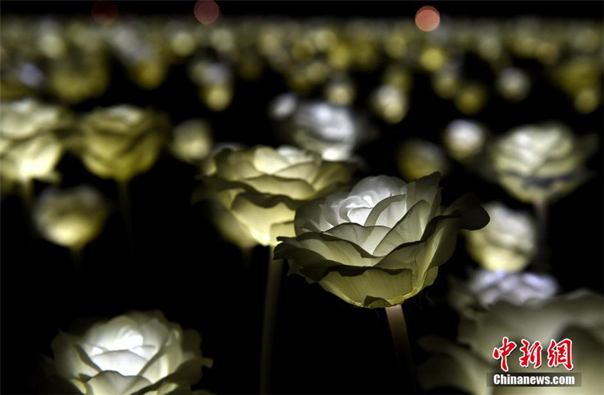 Hongkong: 25.000 roseförmige Lampen zum Valentinstag