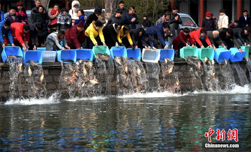 Fisch-Freilassung am Daming-See