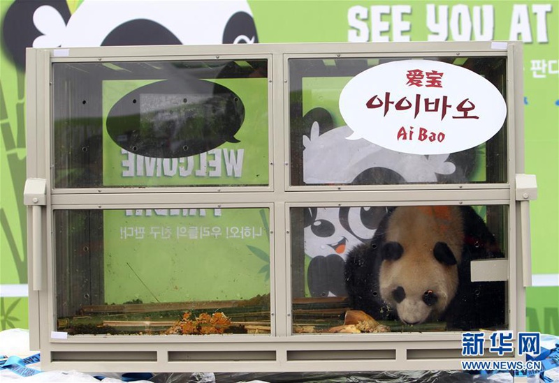 Chinesisches Panda-Pärchen erreicht Südkorea
