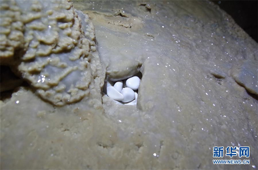 420 Meter tiefe unterirdische Höhle in Guangxi durch China und Frankreich entdeckt