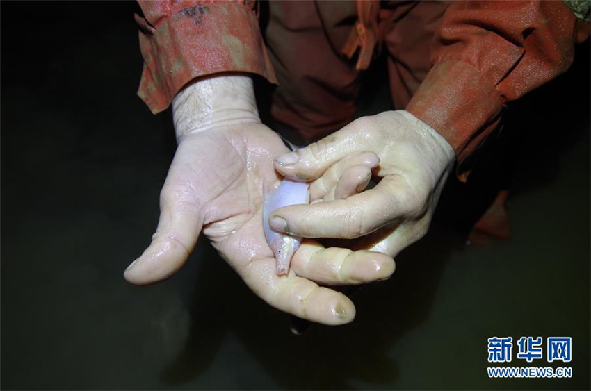 420 Meter tiefe unterirdische Höhle in Guangxi durch China und Frankreich entdeckt