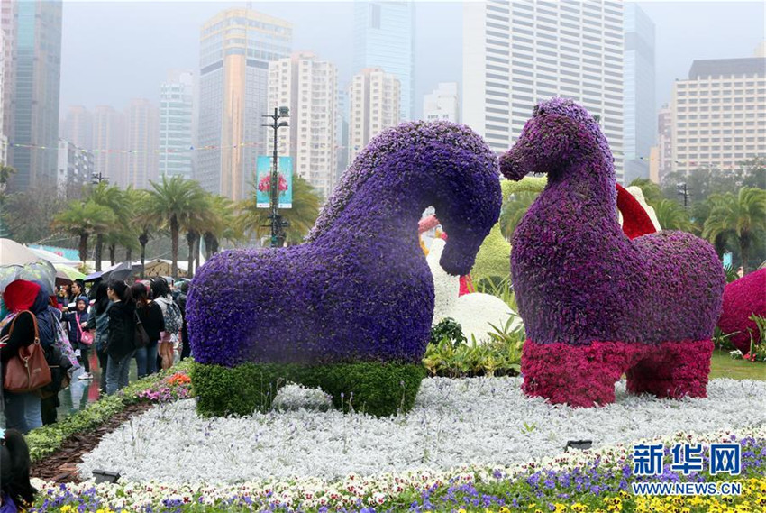 Die Blumenschau in Hongkong geht zu Ende