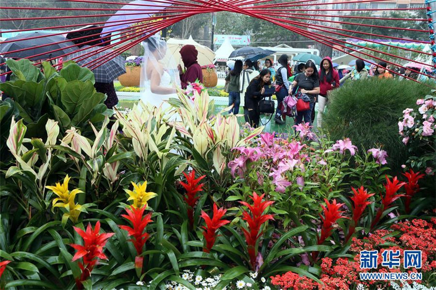 Die Blumenschau in Hongkong geht zu Ende