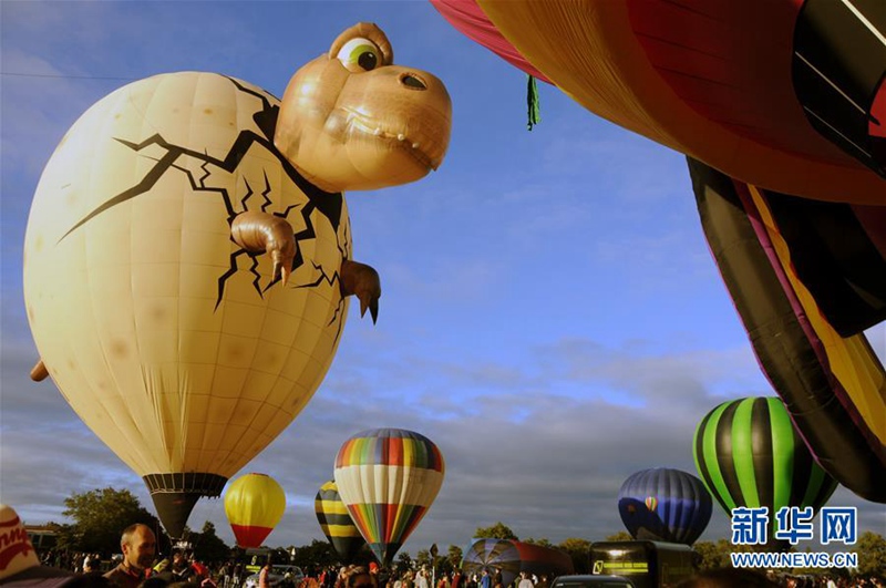 Ballonfestival in Neuseeland