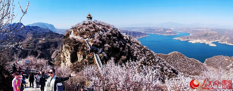 Frühlings-Pfirsichblüten im Jingzixian-Gebirge