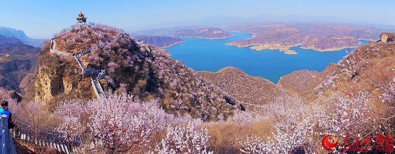 Frühlings-Pfirsichblüten im Jingzixian-Gebirge