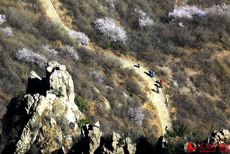 Frühlings-Pfirsichblüten im Jingzixian-Gebirge