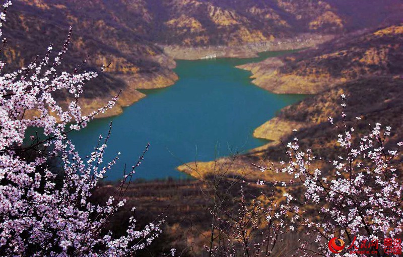 Frühlings-Pfirsichblüten im Jingzixian-Gebirge