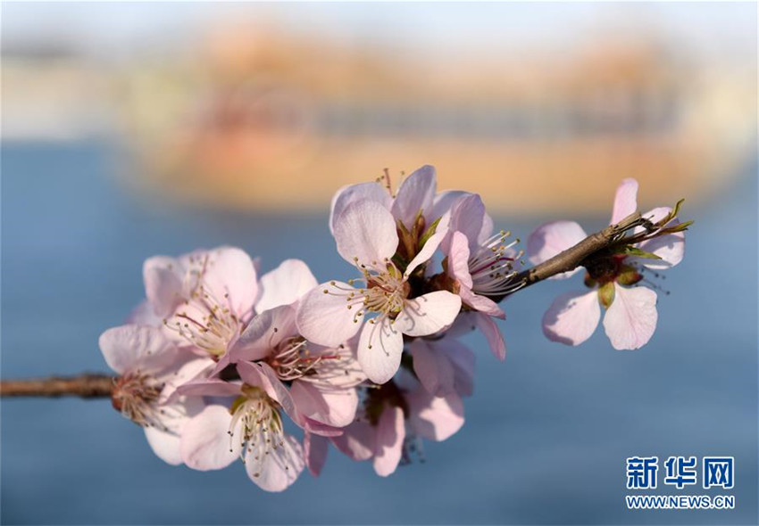 Der Frühling besucht den Sommerpalast