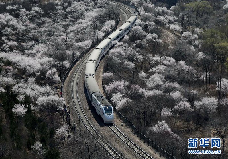 Der Frühling hält Einzug in Beijing 