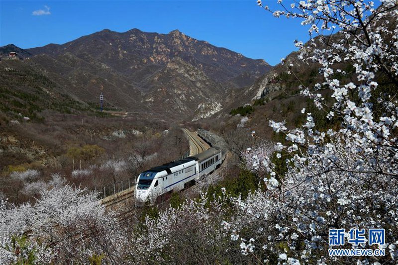 Der Frühling hält Einzug in Beijing 