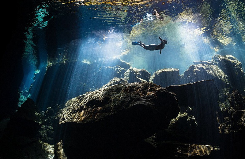 Die besten Unterwasserfotos der Welt